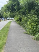 Foto: Eingeengter Fußweg 